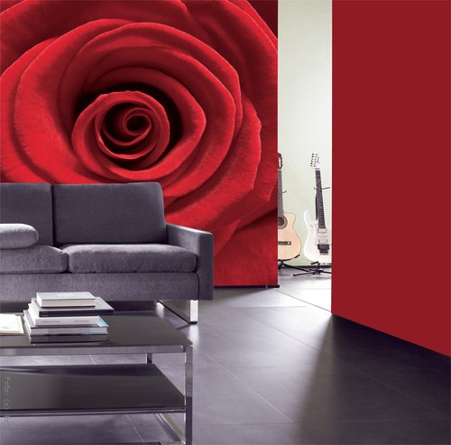 Ein Fest der Sinne: Fototapete in der Farbe der Liebe mit Roter Rose (Rasch) Ein Fest der Sinne: Fototapete in der Farbe der Liebe mit Roter Rose (Rasch)